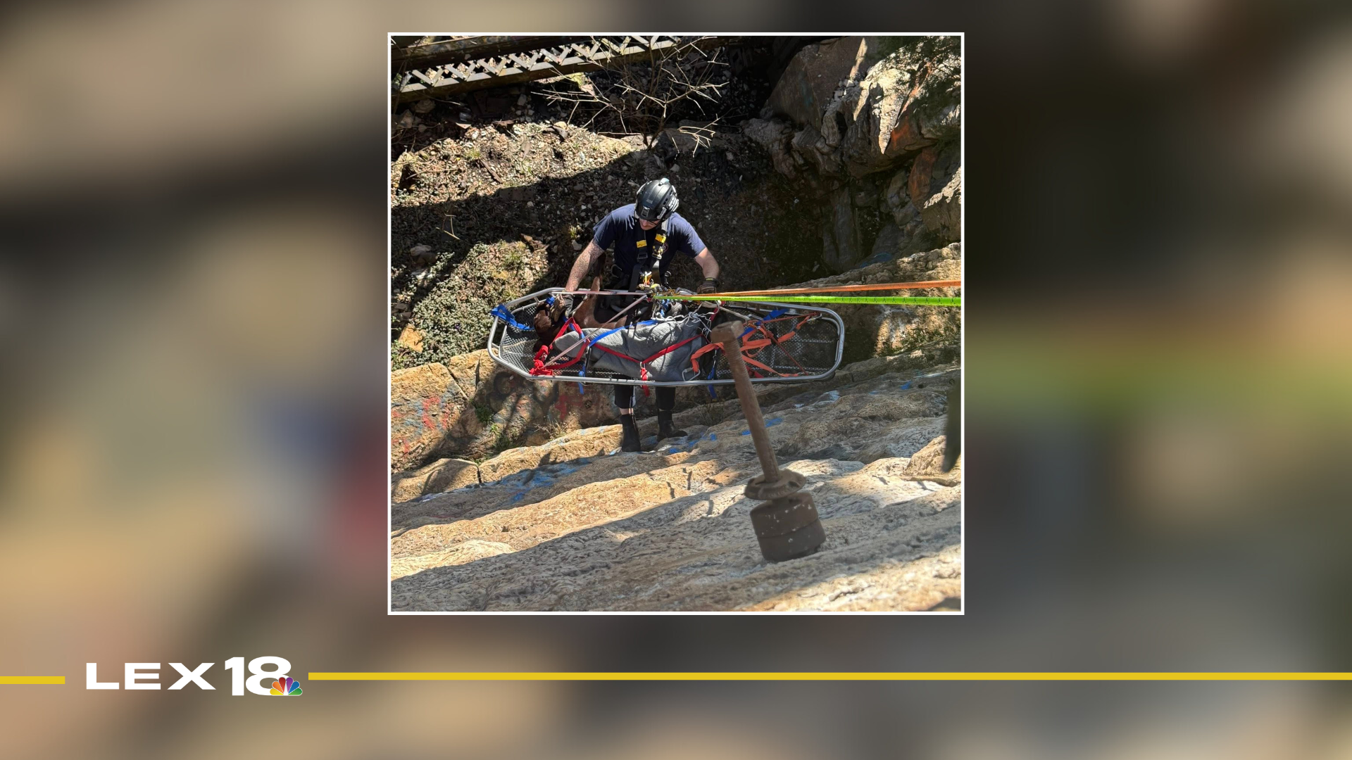 Wilmore Fire Department rescues dog