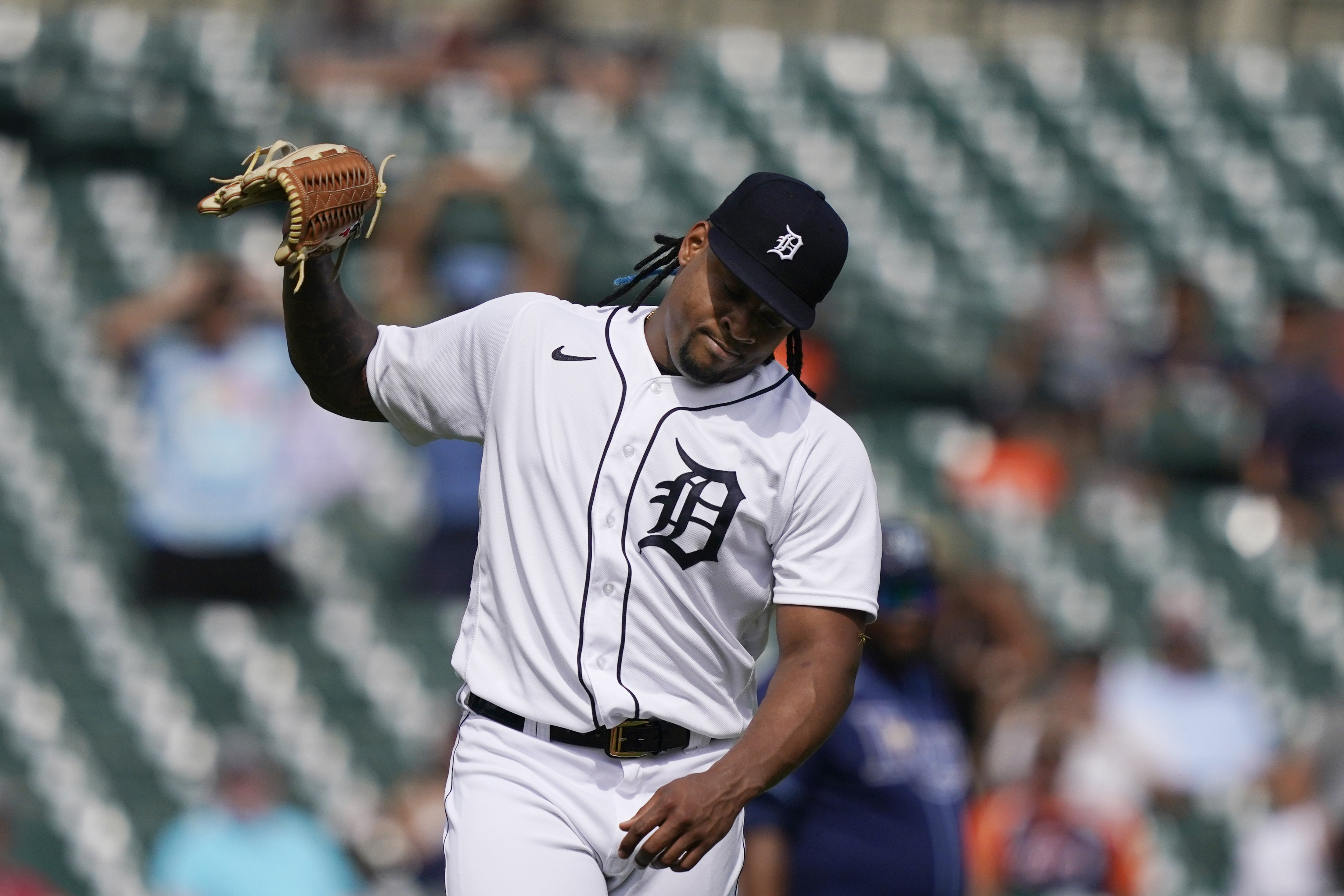 Rays Tigers Baseball