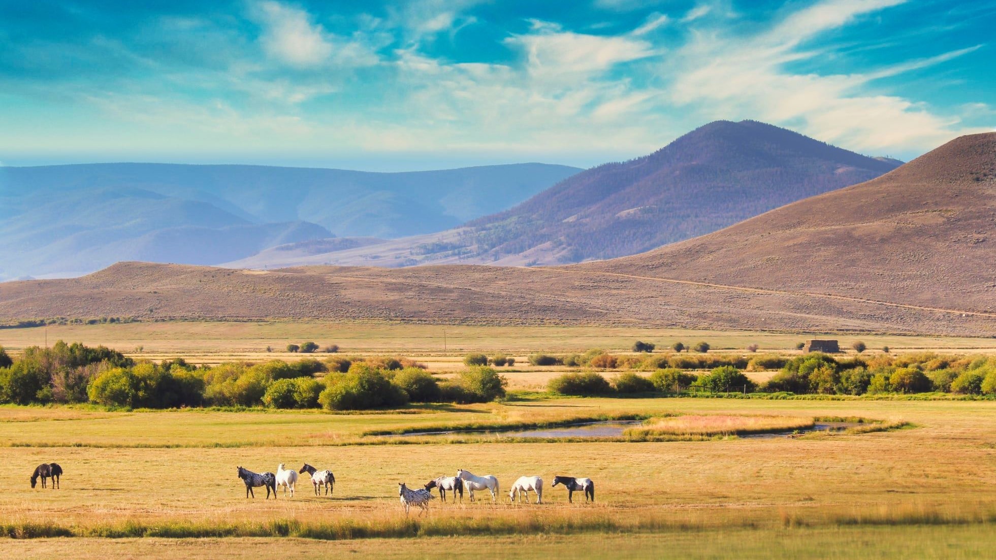 Gunnison County Carol Gebhart