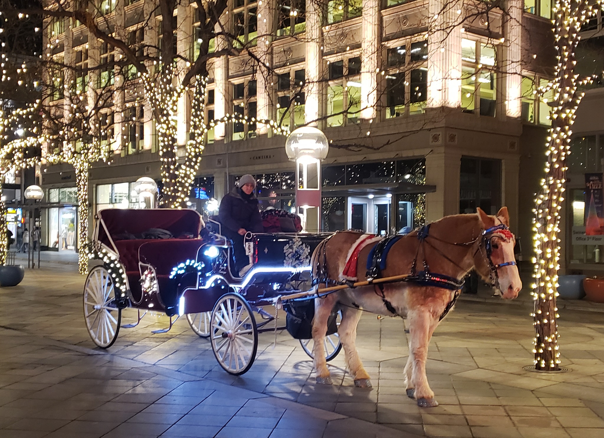 Horse-drawn carriage in Denver