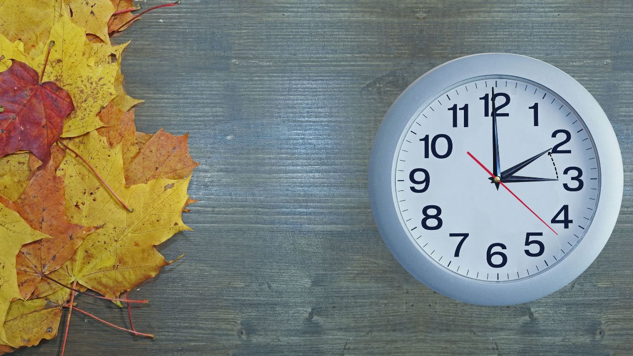 Fall Back - Daylight Saving Time