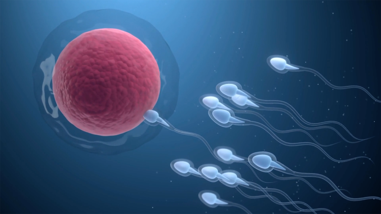 baby2.png
