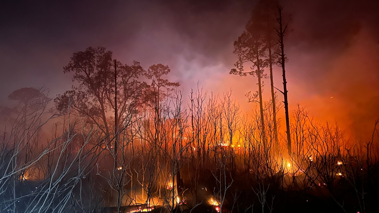 DO NOT DELETE - For Full Story Photos - 2026-01-21T210209.723.png