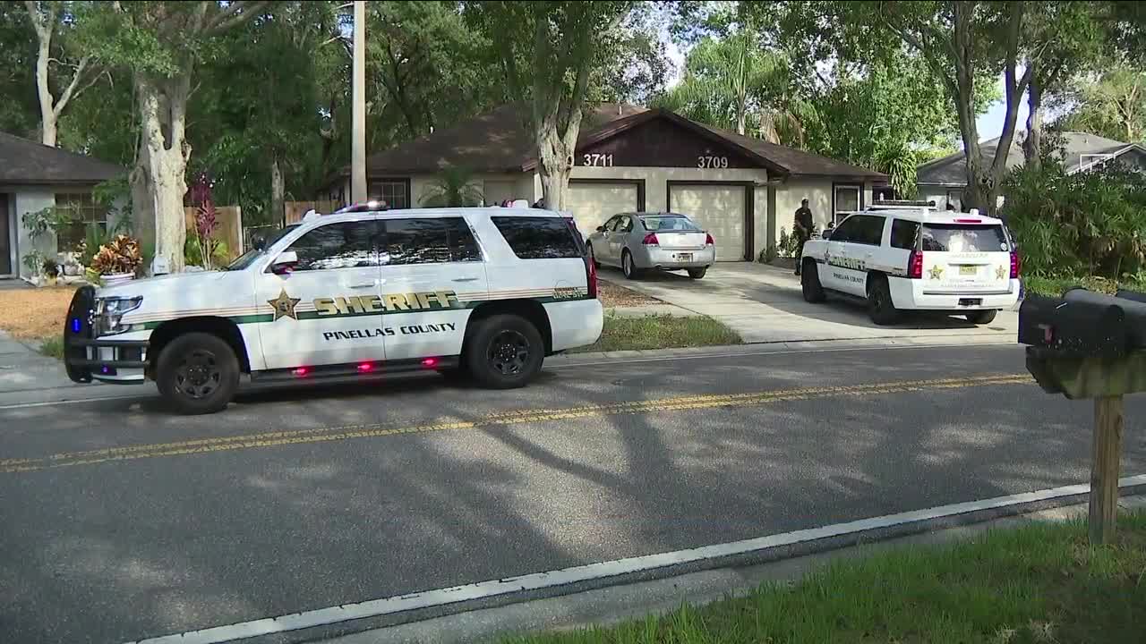 Palm Harbor 15 YO shot.jpg