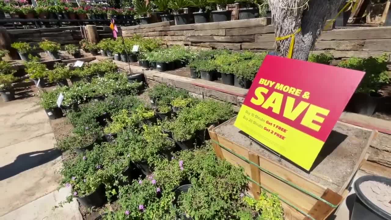 Poster image (14).jpg