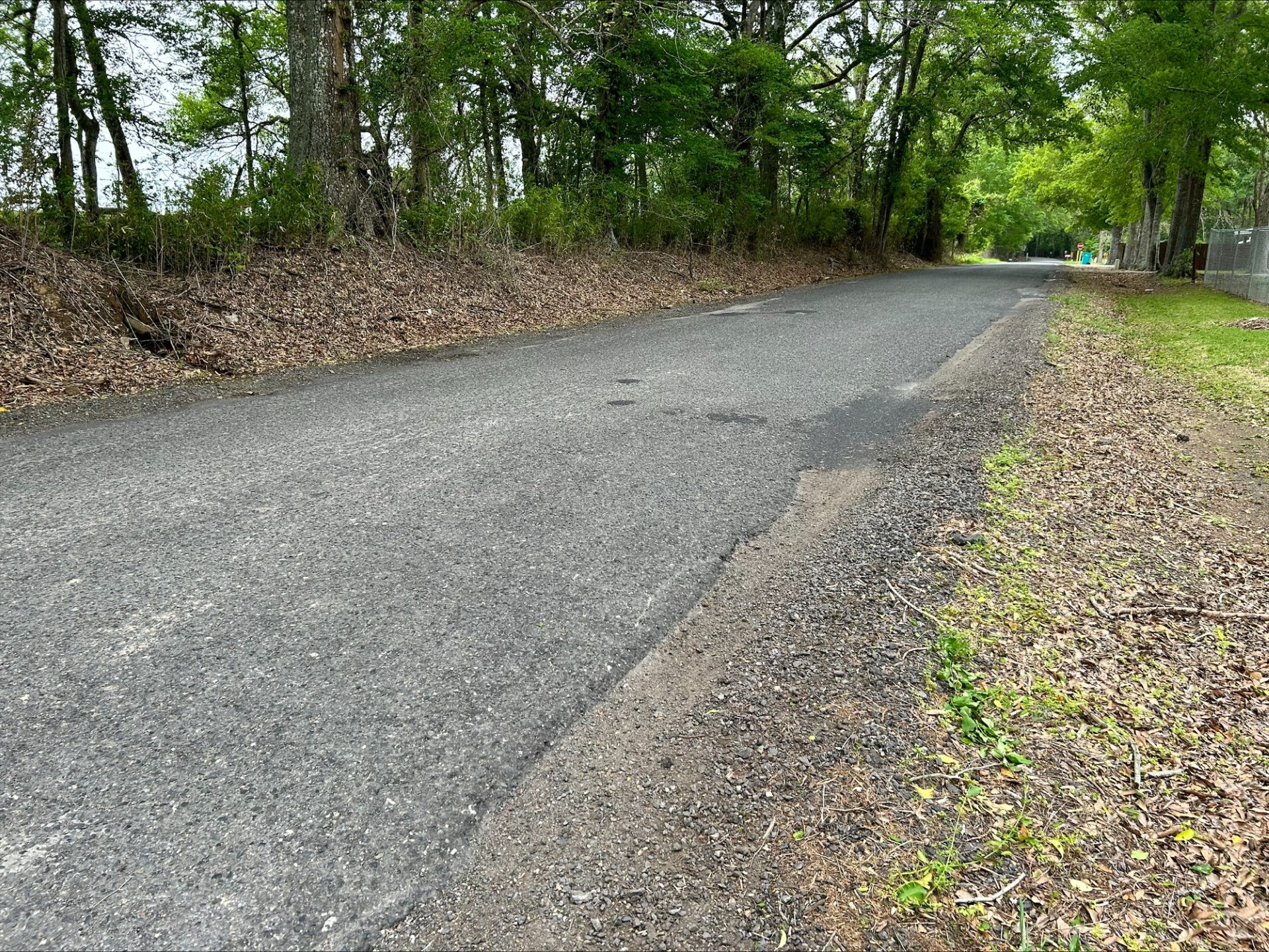 nap lane.jpg