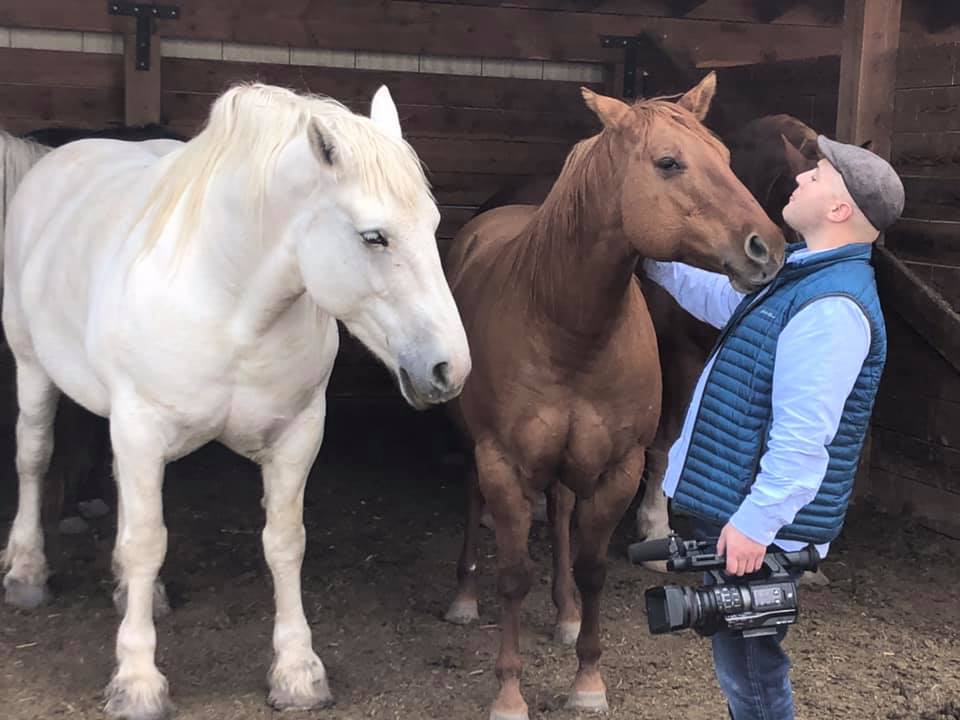 Livingston horse sanctuary gives comfort to visitos and horses alike
