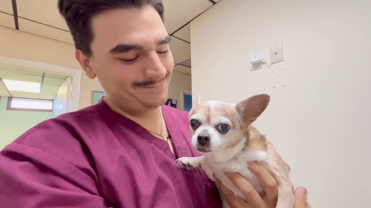 dog at vet.png