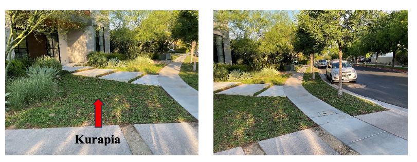 Grass conversion - Eddingtons