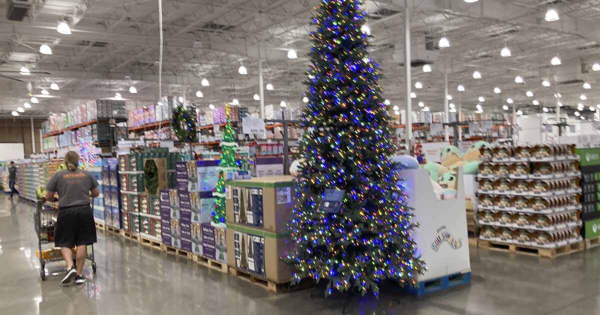 Fake seasonal jobs? How to protect yourself while job hunting this season