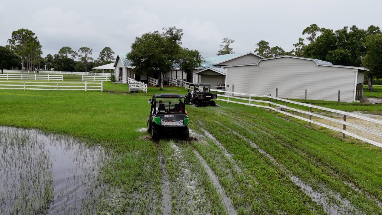 Golf carts going through inches of water in Buckingham yards on Wednesday.