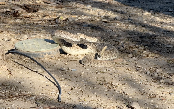 Screenshot 2026-03-04 at 6.02.00 AM.png