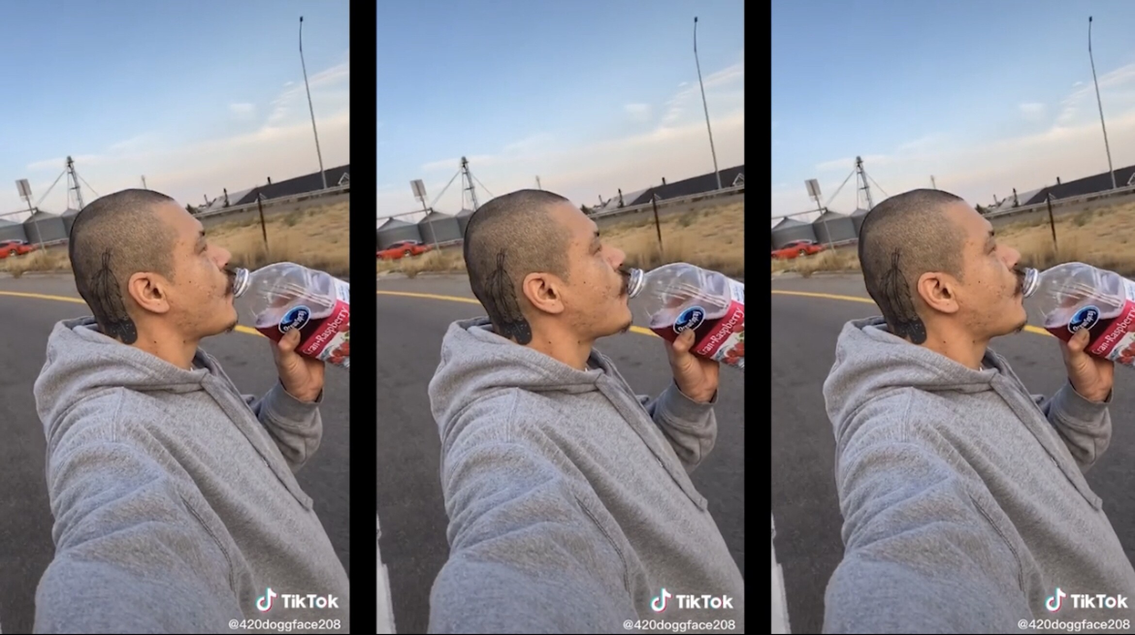 Viral TikTok sensation Nathan Apodaca fulfilling his cranberry dreams