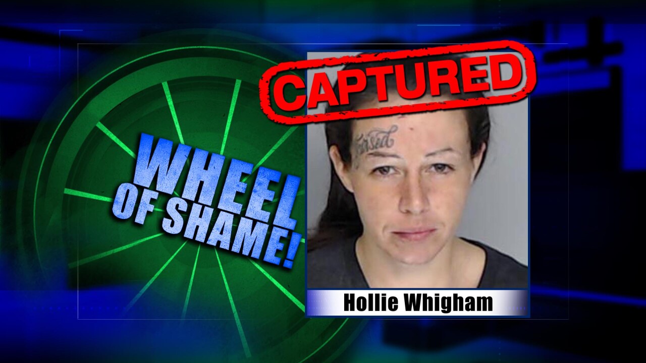 Wheel of Shame Arrest: Hollie Whigham