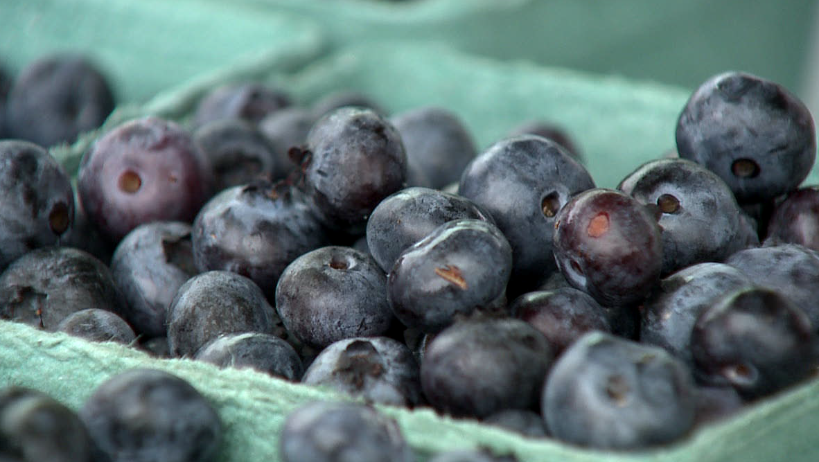 MISSION ON THE FARM: Bangor blueberry farmer giving vets free pints 