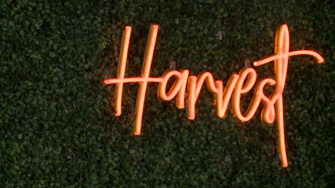 Harvest Restaurant in Virginia Beach