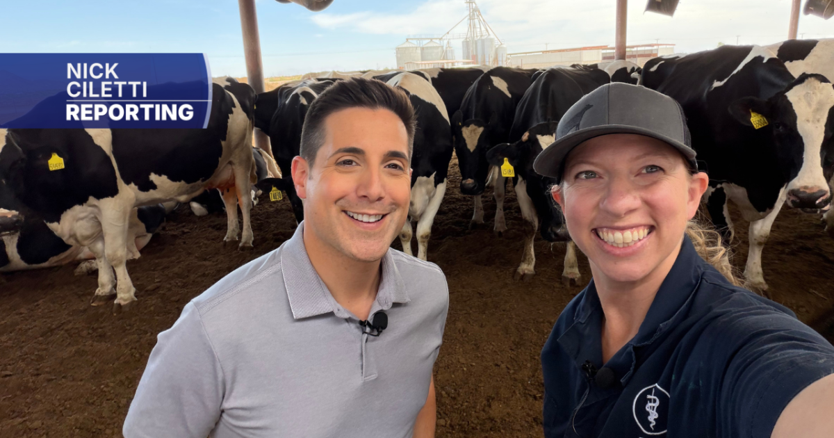 'The Dairy Doc' out with new book to help kids understand how milk goes from farm to table