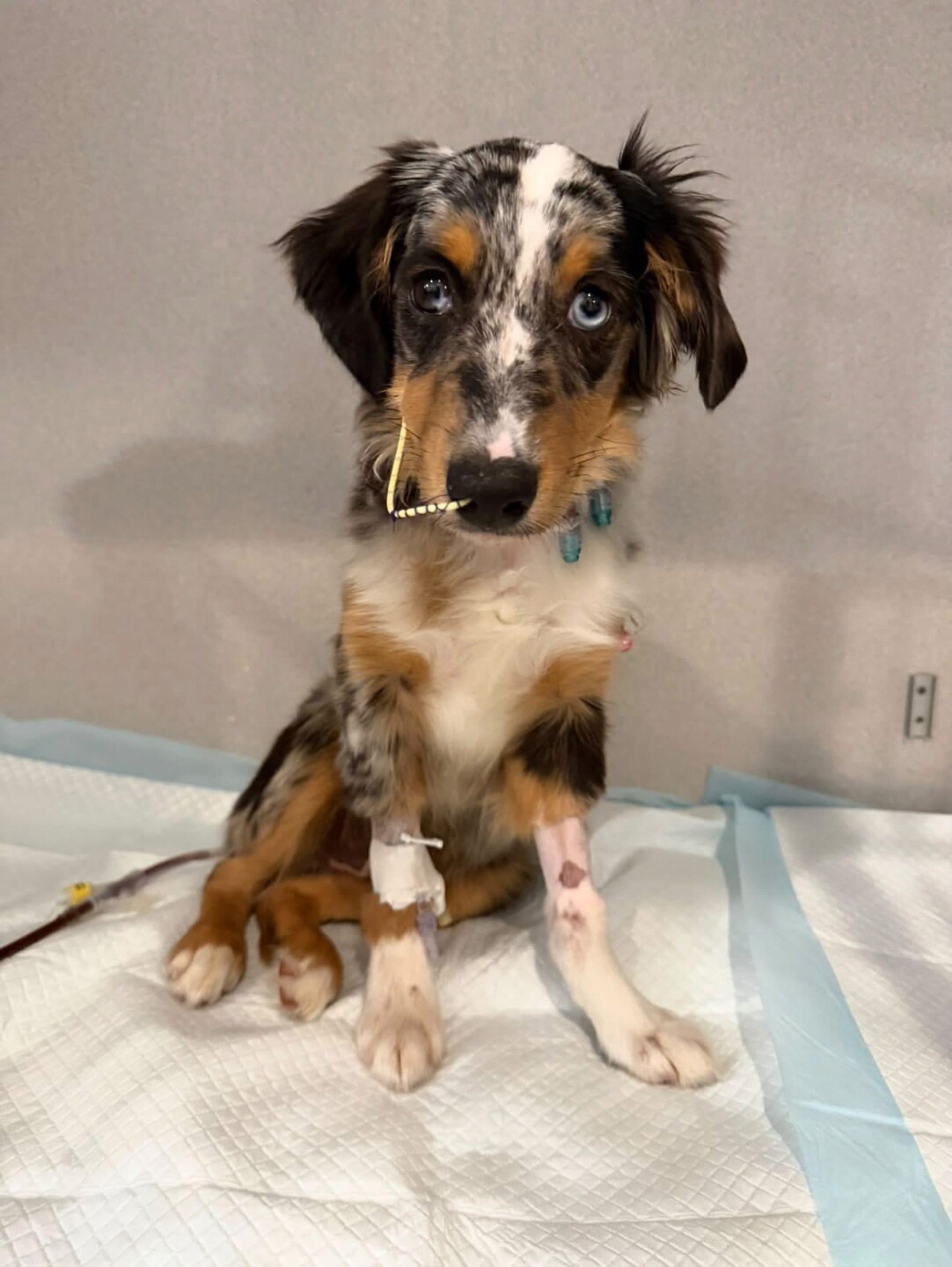 wylder receiving care