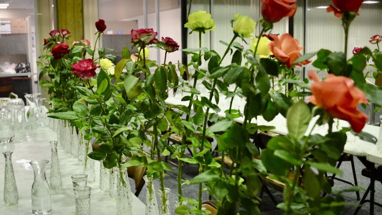 The Tallahassee Area Rose Society is expanding its reach this fall, bringing its annual Autumn Roses Show to Monticello
