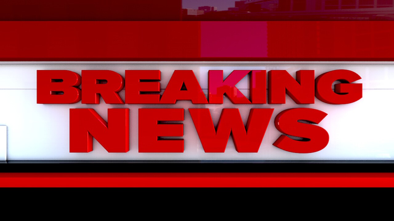 Phoenix police say woman killed 3 young sons