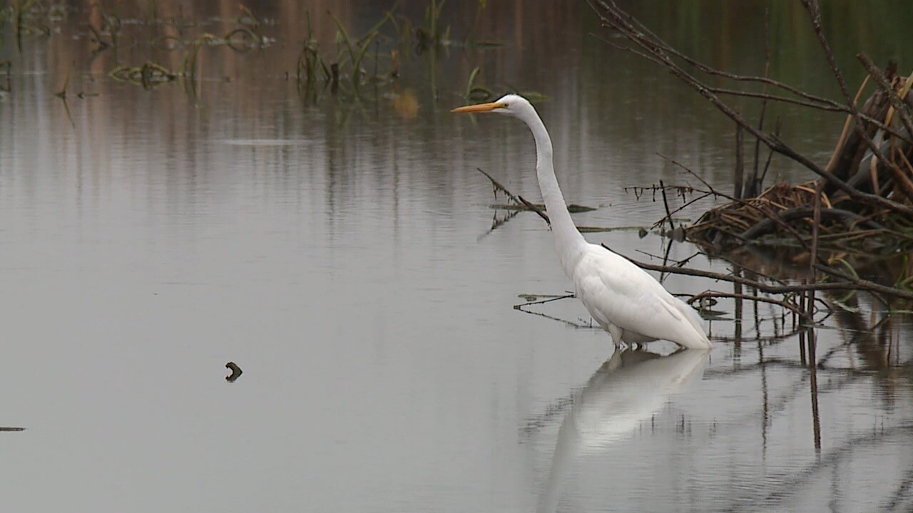 mentor lagoons 5.jpg