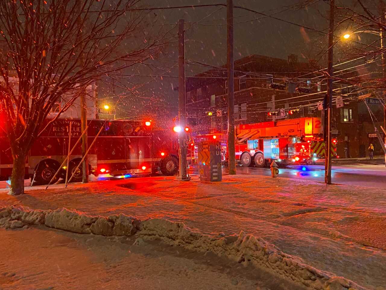 woodland snow crash.jpg