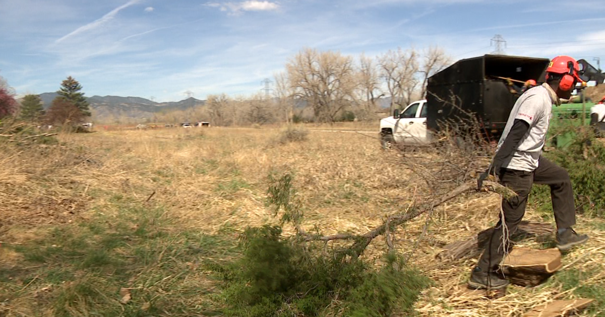 With red flag days surging, crews complete wildfire mitigation project in Jeffco park