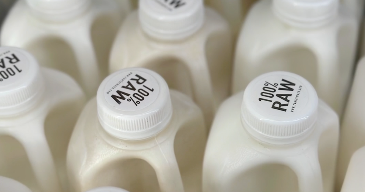 Flu virus can remain infectious in refrigerated raw milk, new study finds Flu virus can remain infectious in refrigerated raw milk, new study finds
