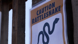 Rattlesnake sign