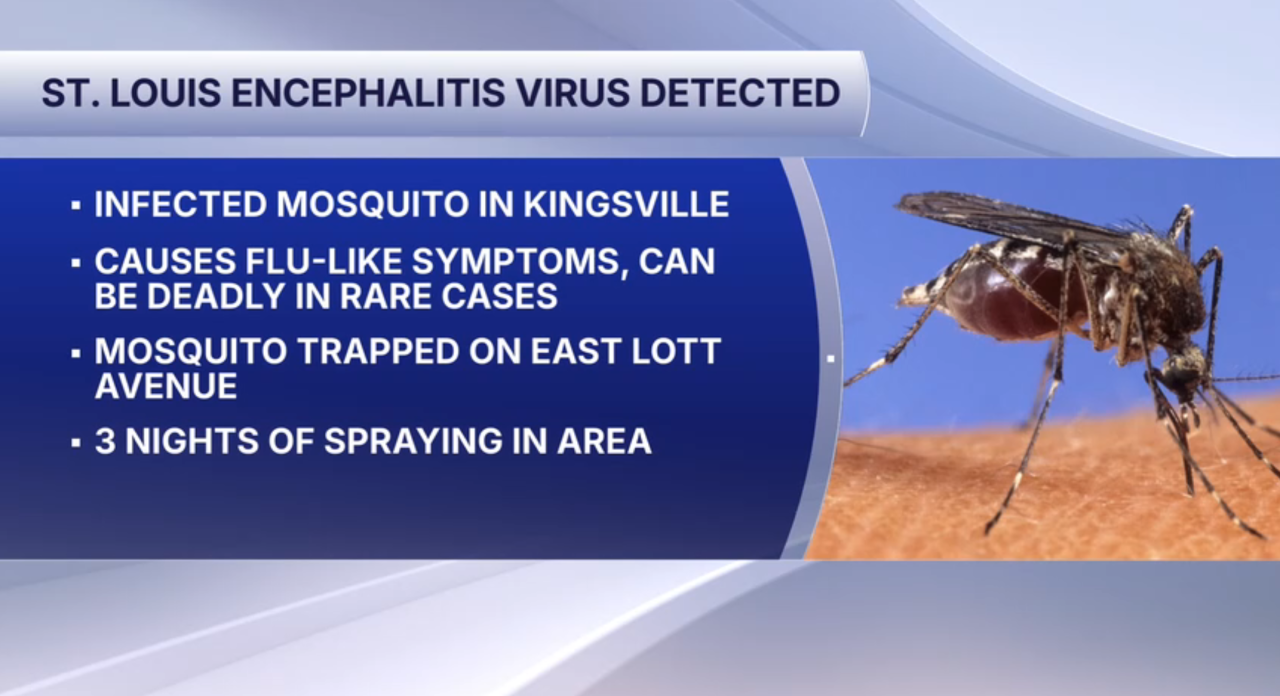 St. Louis Encephalitis