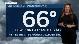 dew point 072925.jpg