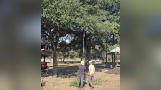Jim's Tree Service at Girard Park 