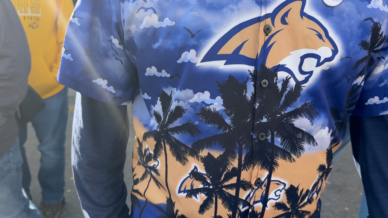 BOBCAT SHIRT.jpeg