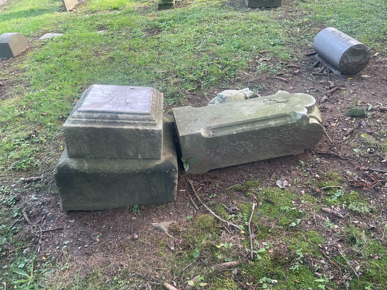 Image from iOS - 2023-08-29T061800.043.jpg