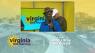 The Blue Jimmy Band makes their debut on Virginia This Morning
