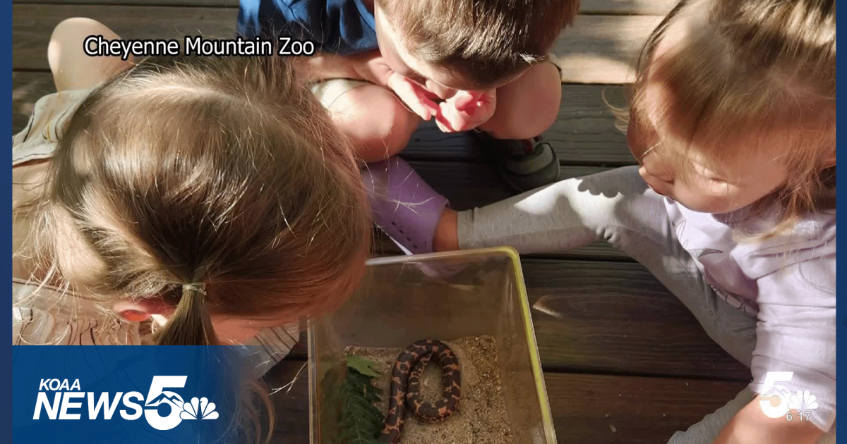 Would you send your kid to preschool at a zoo? Now you can