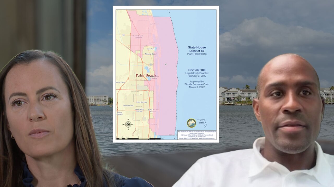 House District 87 special election 