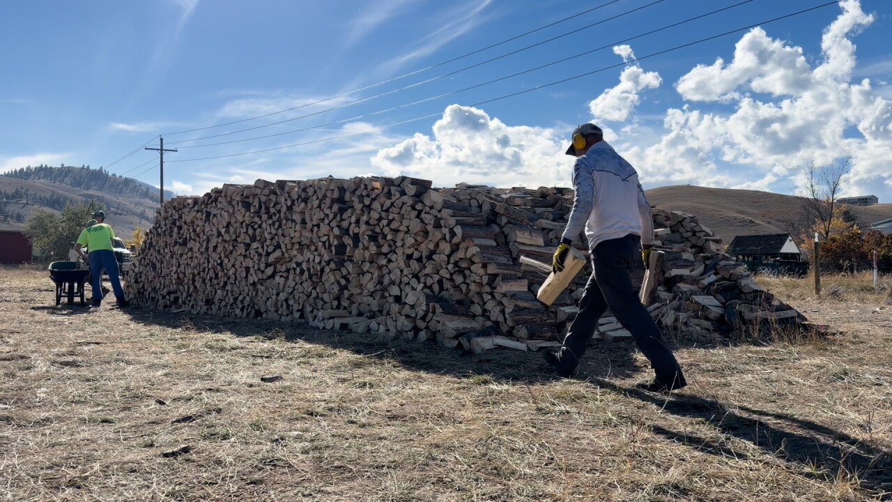 Wood pile