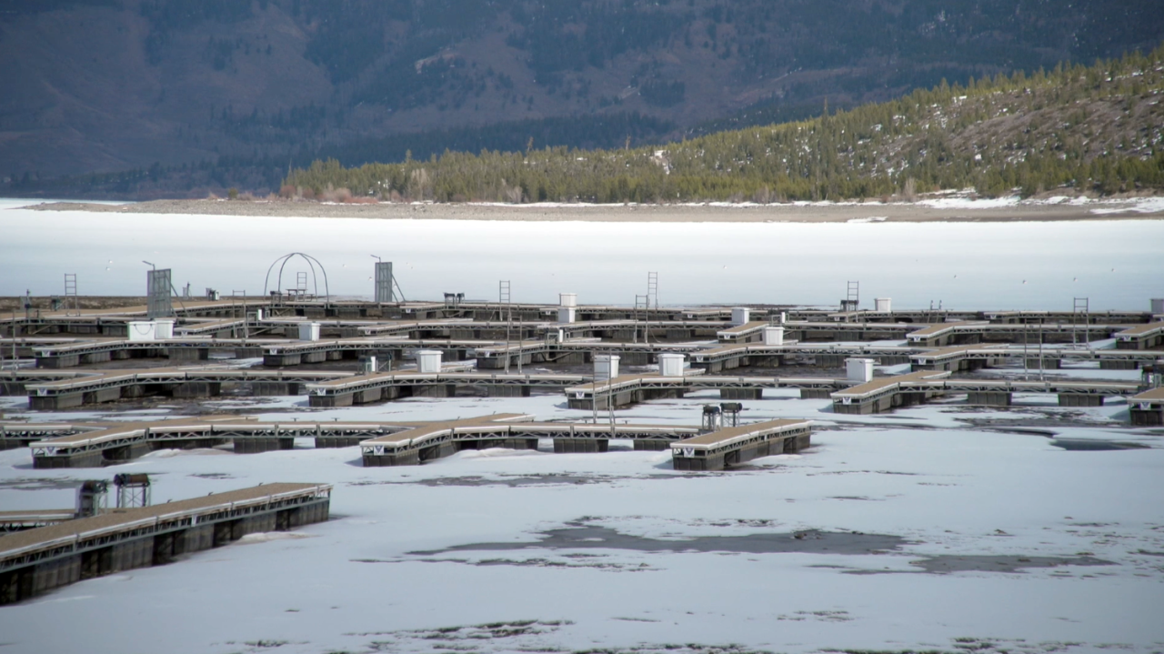 Dillon Reservoir levels feb 12 2026