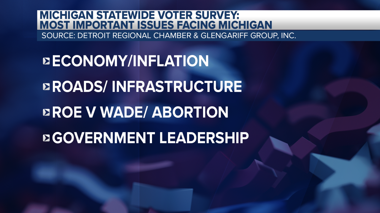 Poll: Most Important Issues Facing Michigan