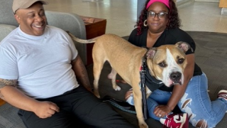 Lady Luck Animal Rescue Thor.png