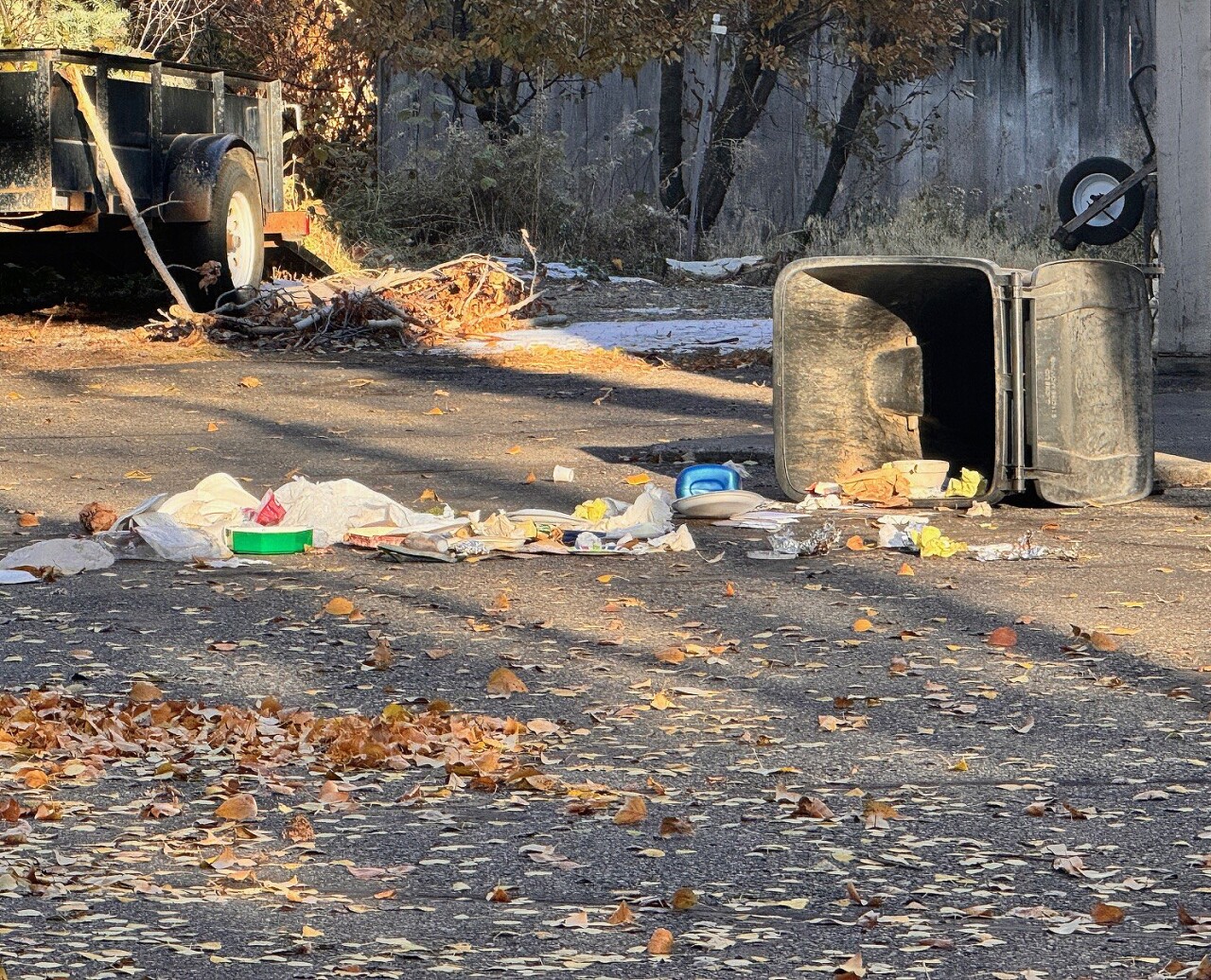 garbage-scattered-by-bears.jpg