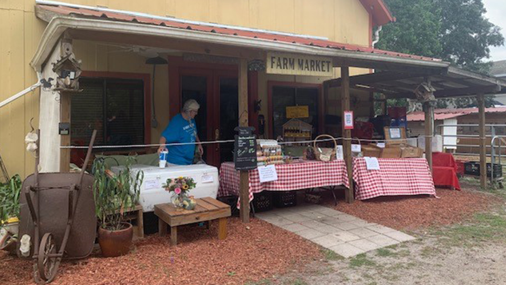 Tampa-farm-001.png