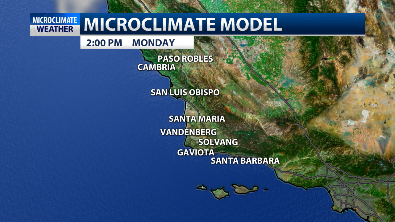 Microclimate model