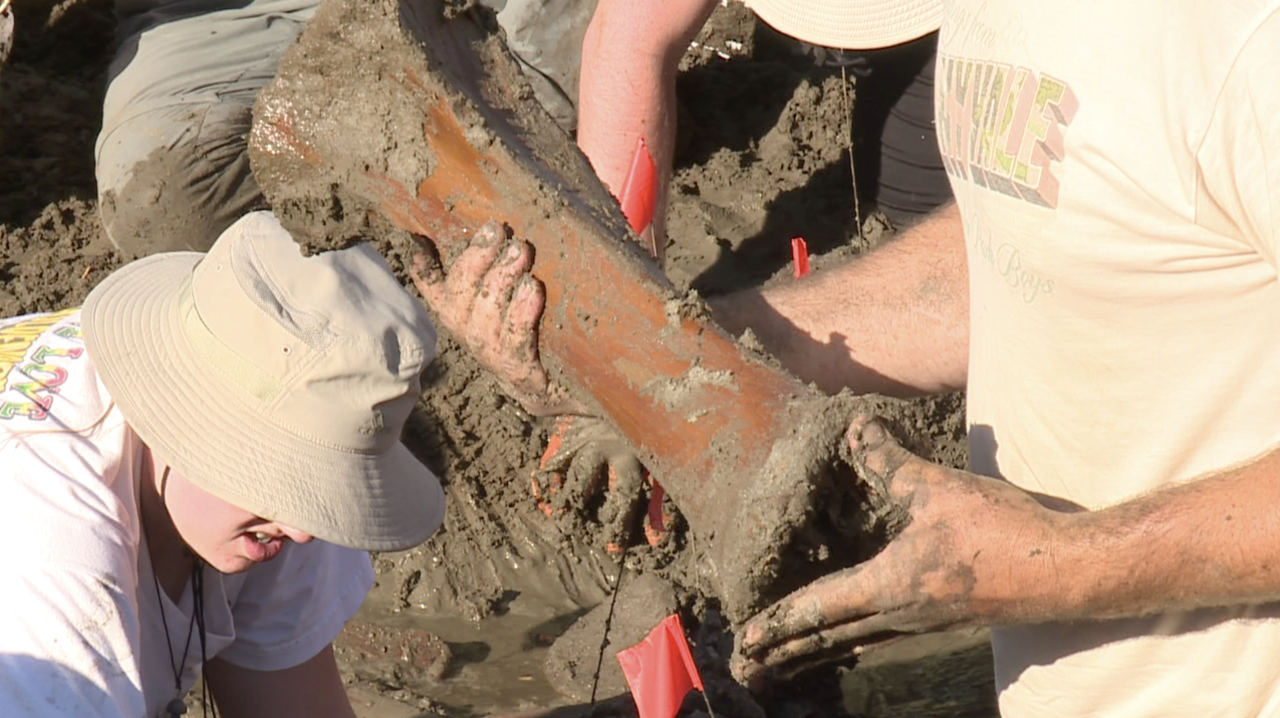 Mastodon bones unearthed in Kent City