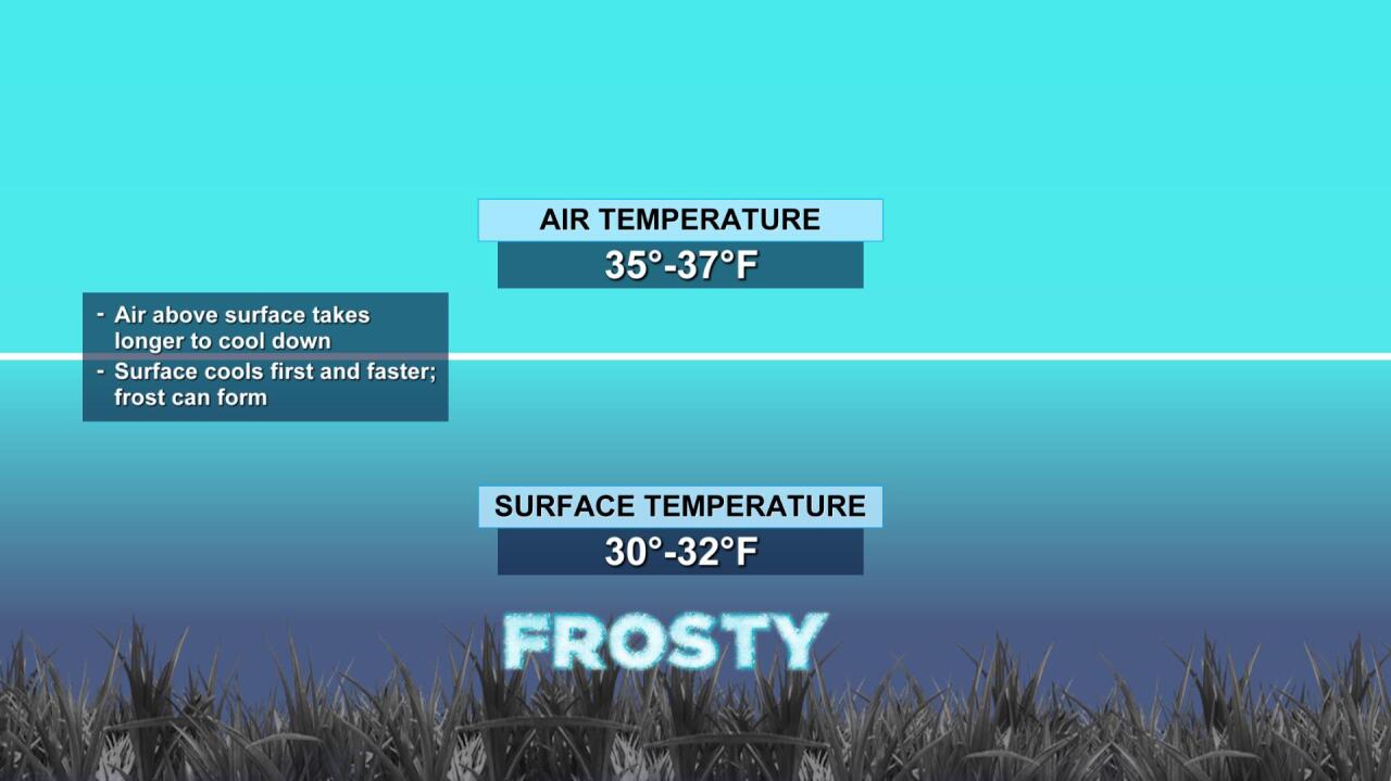 FrostTemps_03212020.jpg
