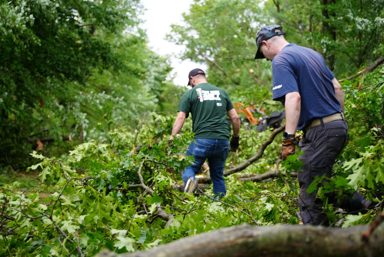 Whitehall tree down 8.jpeg