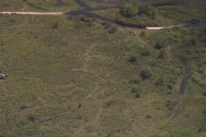 Authorities search for Jean Alexandre at Kissimmee Prairie Preserve State Park, Aug. 26, 2020