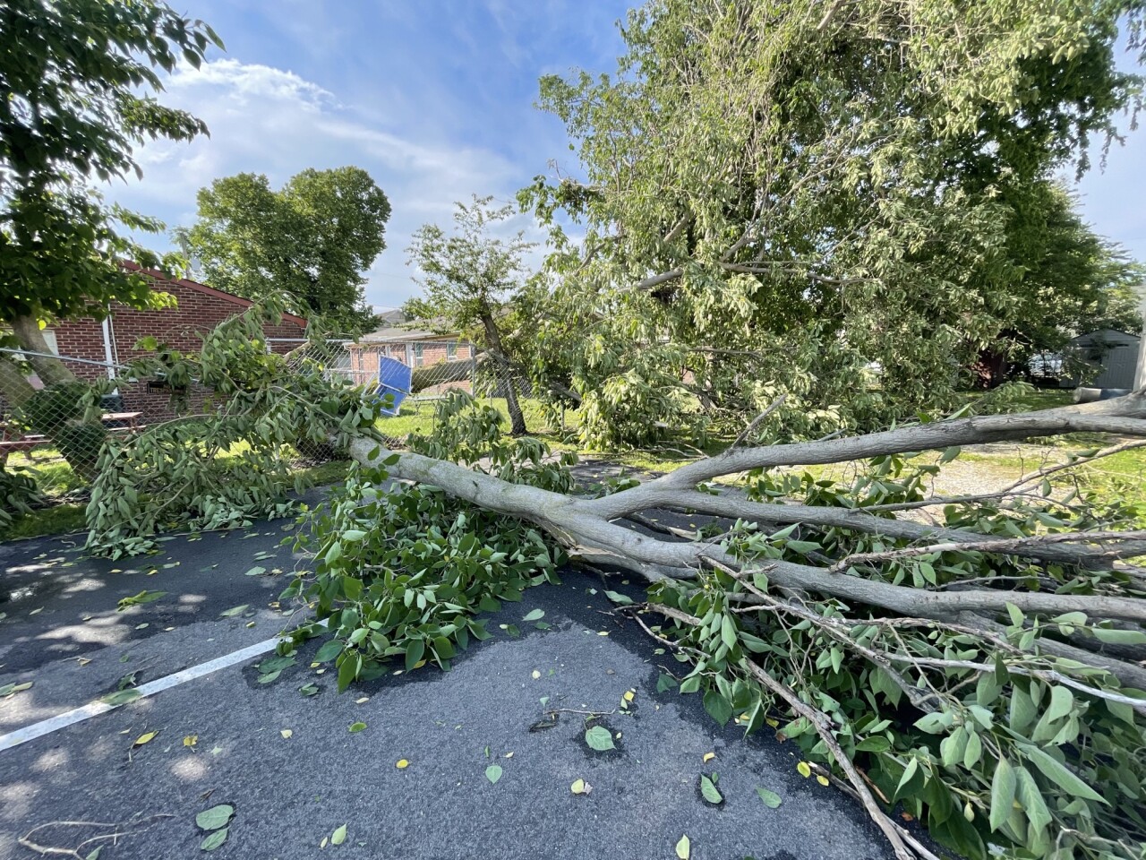 NF New Rising Sun Holy Church tree down (May 16).jpeg