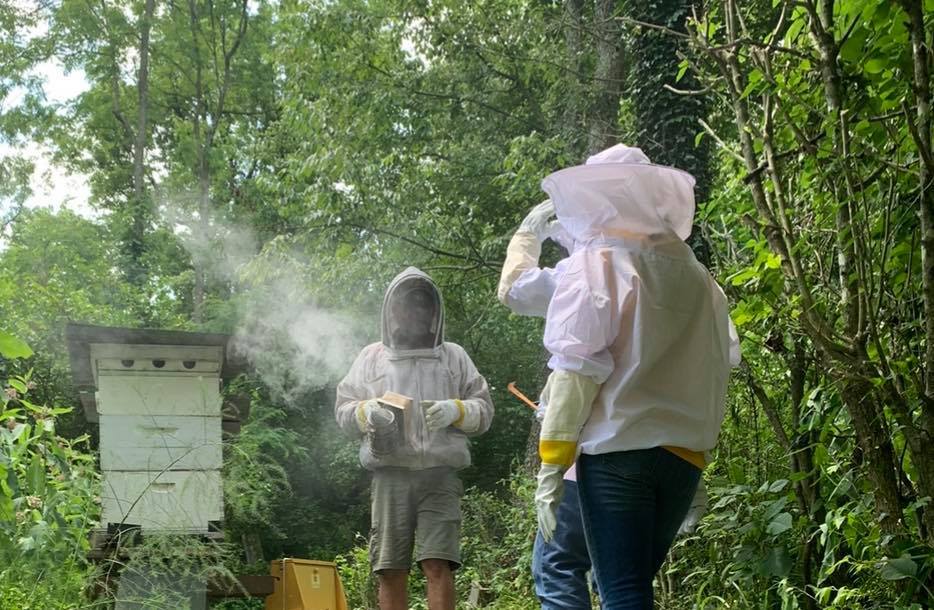 bees5